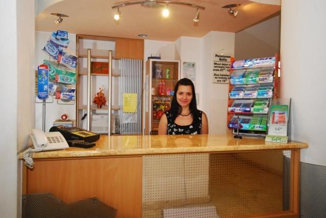 Pension Sofie ブラショフ エクステリア 写真